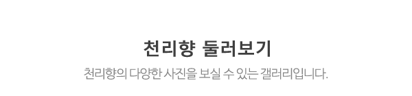 천리향_매장사진